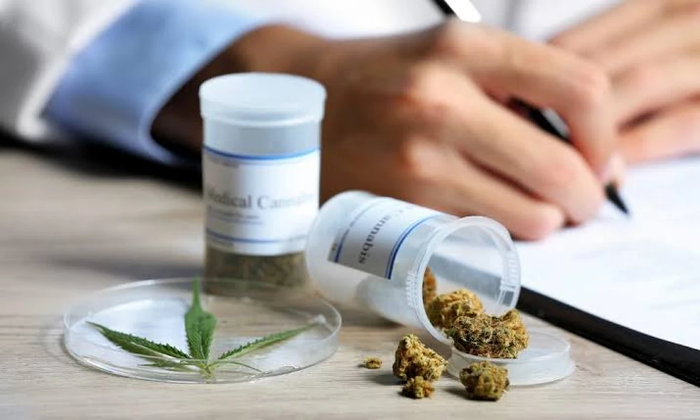 A Guide to Cannabis Strains and Plant Clones from Medicana Lab